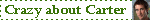 erblink5.gif