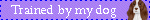 petblink42.gif