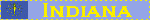 stateblink15.gif