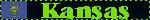 stateblink17.gif