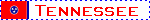 stateblink43.gif